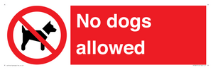 No dogs allowed
